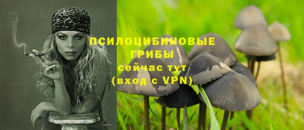 крисы Балахна