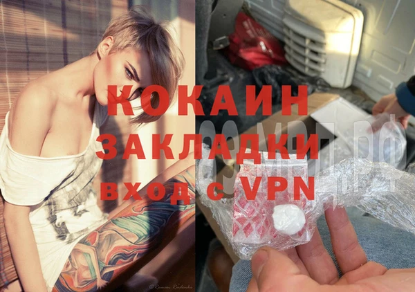 сатива Баксан