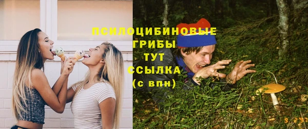 крисы Балахна