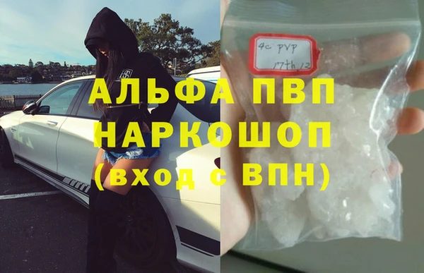 сатива Баксан