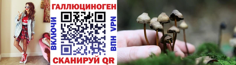 Галлюциногенные грибы ЛСД  Чердынь 